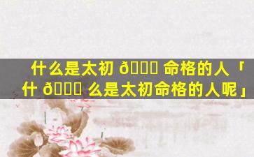 什么是太初 🐅 命格的人「什 🐟 么是太初命格的人呢」